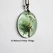 Dandelion Necklace Dandelion Seeds Green Make a Wish Mint Aqua Fluffy Seeds Real Flower Oval Summer Resin Pendant