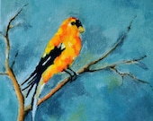 Yellow bird 2  goldfinch  Original oil painting on canvas , bird portrait 8x8 Inch