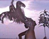 Lily Angel , Lavender Sky