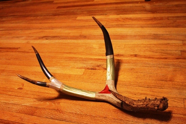 Naturally Shed Hand-Painted Mule Deer Antler