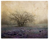 Shabby heather meadow fine art photography print, digital collage 8X10 autumn sepia landscape limited edition violet brown, home