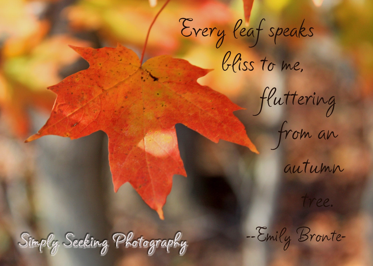 Fall leaf- with Emily Bronte quote-5x7-golden maple leaf - simplyseekingphotos