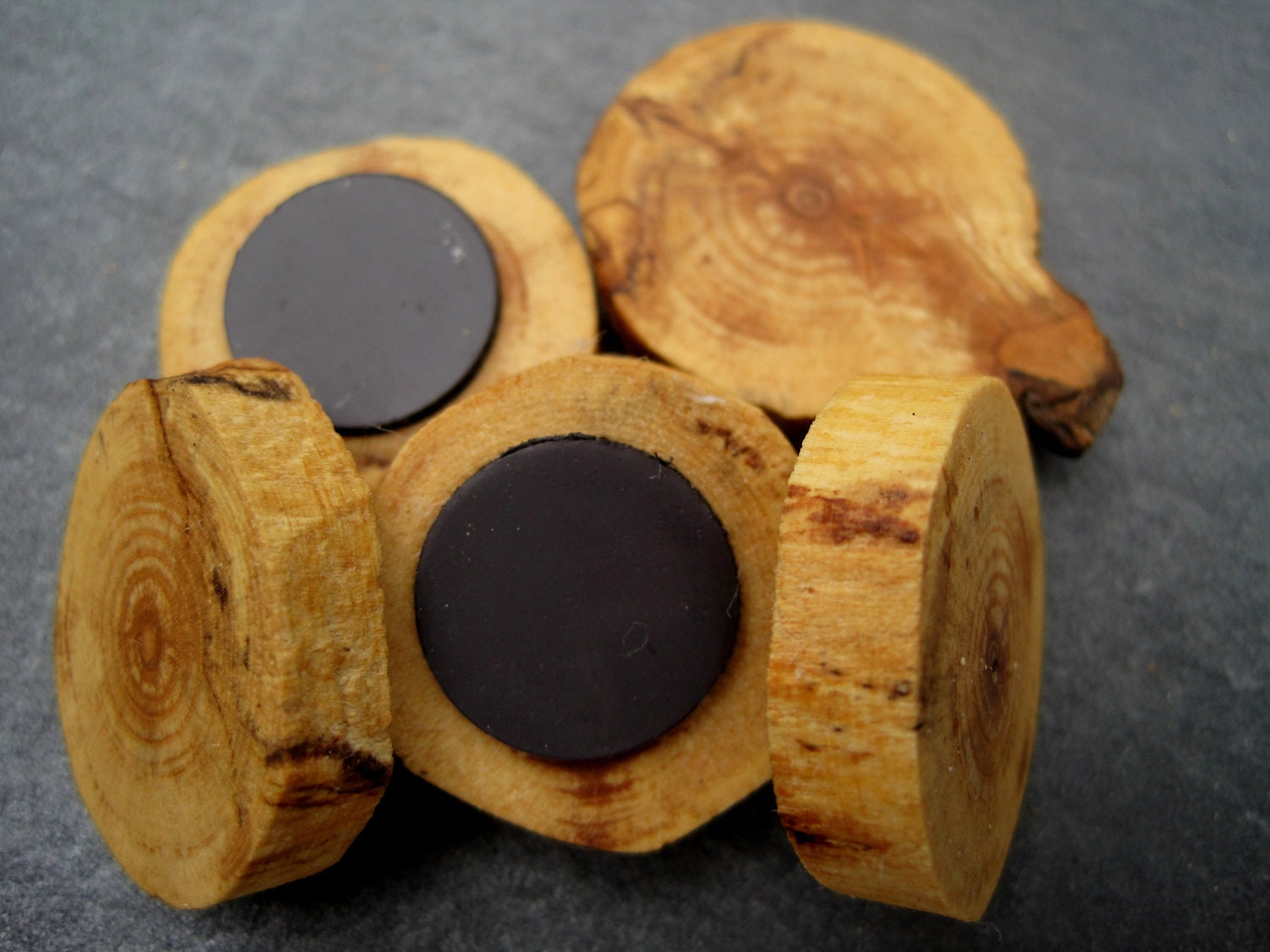 Rustic Wooden Tree Branch Slice Wood Magnets. Perfect for Organizing Home and Office - Set of 5