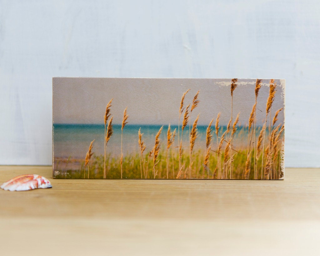 Shoreline Photo Transfer Mini by Patrick Lajoie
