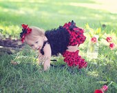 Lady Bug Ladybug Baby Girl Toddler Outfit- Lace Ruffled Black Pettitop, Red & Black Polka Dot Bloomers, Leg Warmers and Hair bow