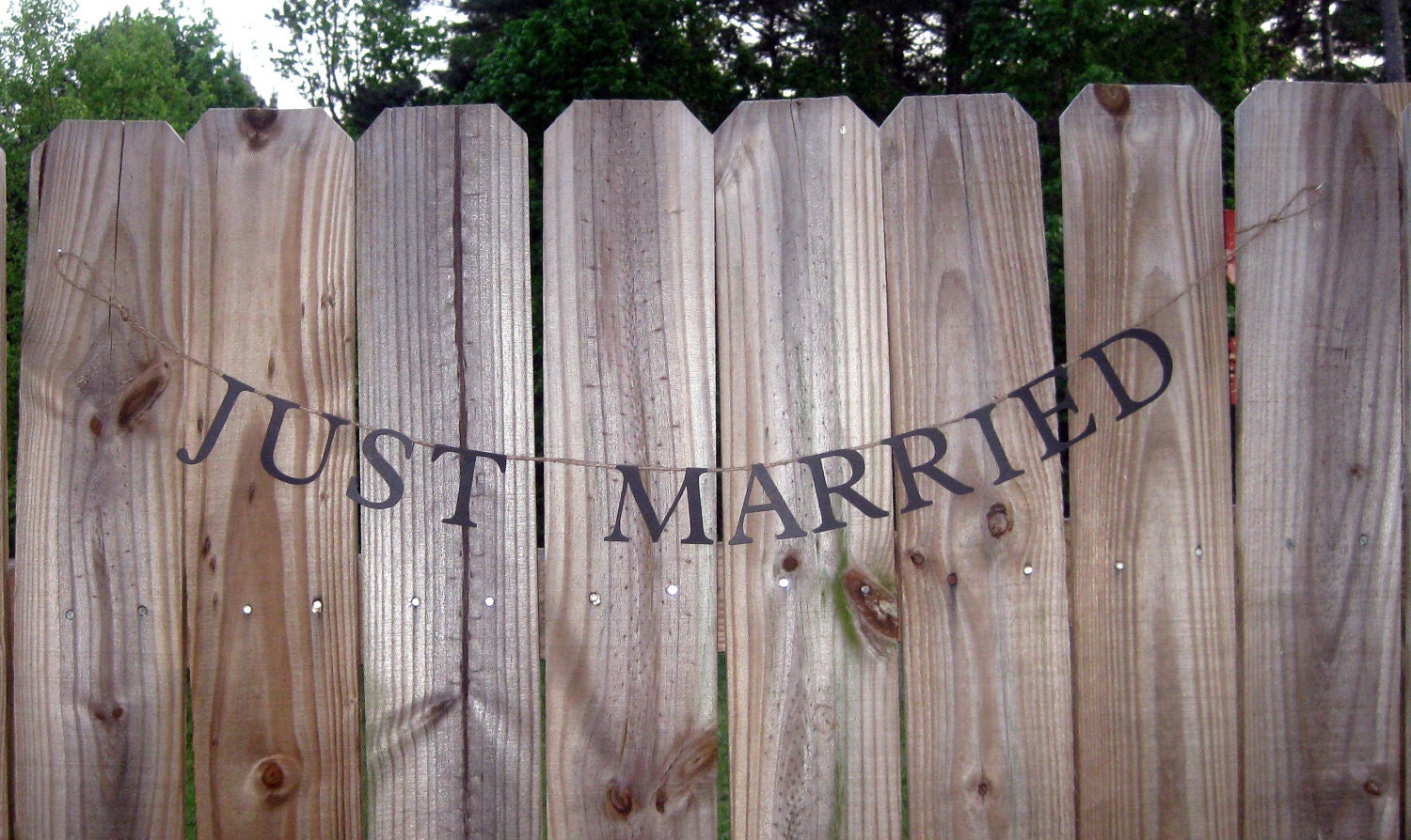 Just Married wedding photo banner