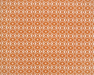 ONE - 18 x 18 Sweet Potato Orange Akita Pillow Cover - Premier Prints