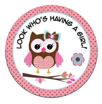 Popular items for baby owl shower on Etsy