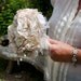 Handmade Vintage Lace Bridal Bouquet. Ivory and cream lace flowers