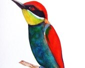 Bird Original Watercolor Painting Ink Animal Nature Feathers Original Drawing Home Decor Bird Red Blue Yellow Black Fine Art Wall Art Bird