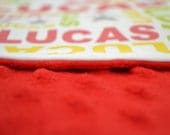 Personalized Minky Name Blanket-  baby gift, baby shower, birthday, new baby, stroller blanket, tummy time, travel, minky