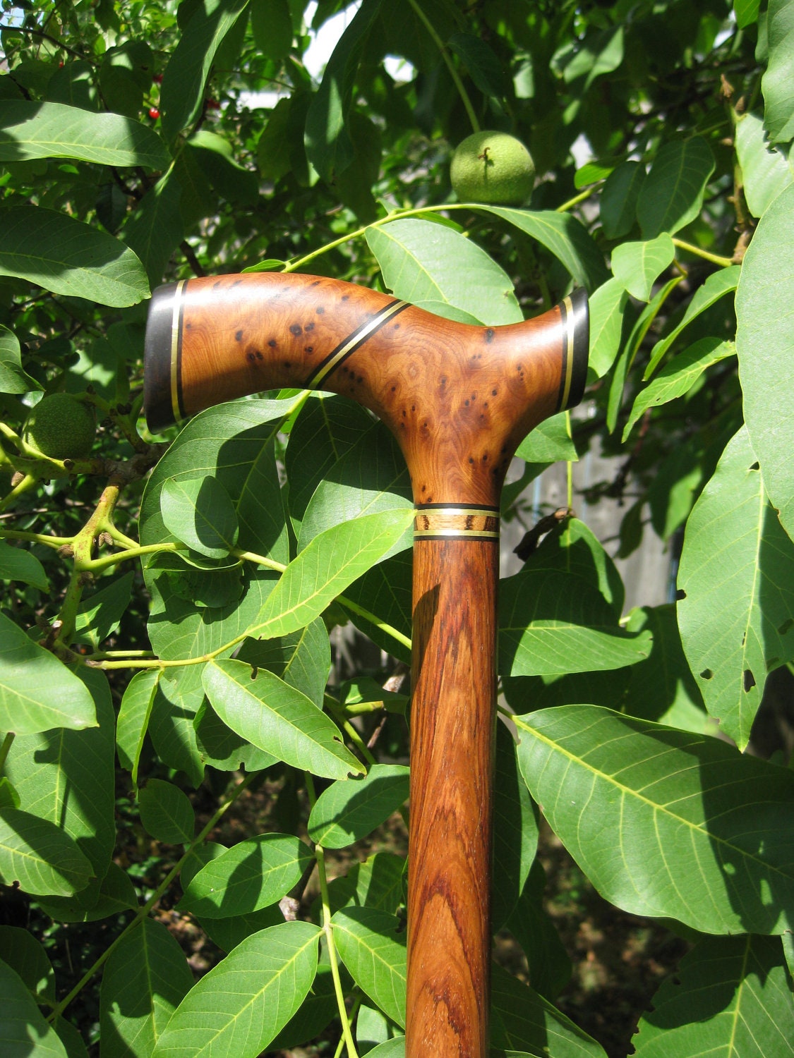 Thuya Burl Exotic Wood Walking Cane Wooden Cane by gammamike