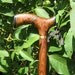 Thuya Burl Exotic Wood Walking Cane - Wooden Cane - Walking Cane - Walking Stick - Wood Cane - Wood