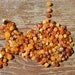 Multicolored Raw Baltic Amber beads with drilled hole. 100 pcs
