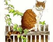 Cat Pen and Ink Drawing Illustration with Watercolor, Tabby Tiger Stripe Cat on Fence with Vines, Art Print of Animal painting