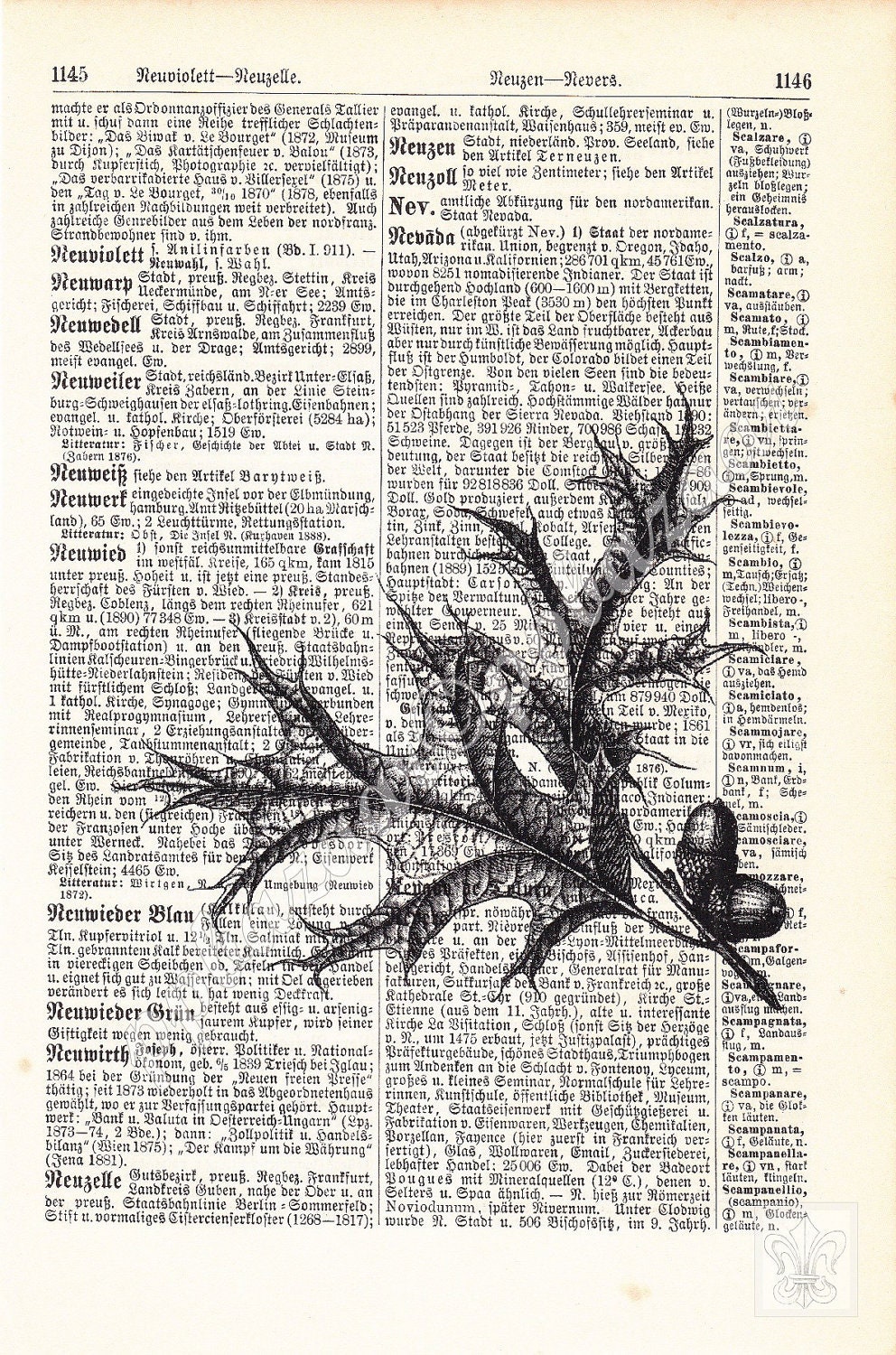 Elegant Scarlet Oak Leaves - Quercus coccinea Vintage Art Print on Upcycled Antique Dictionary Page