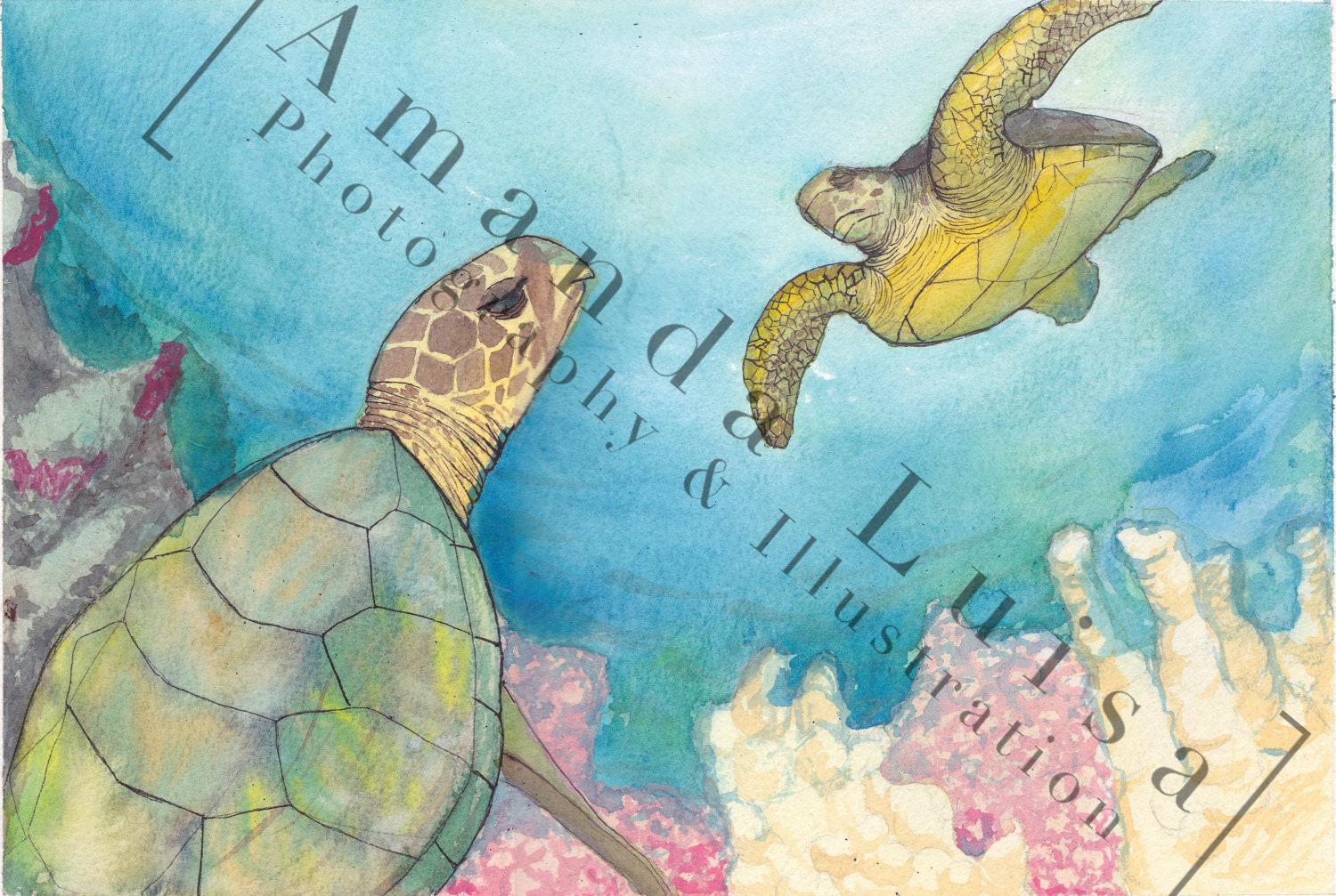 Turtles in Reef  Watercolor and Ink Fine Art Illustration Print