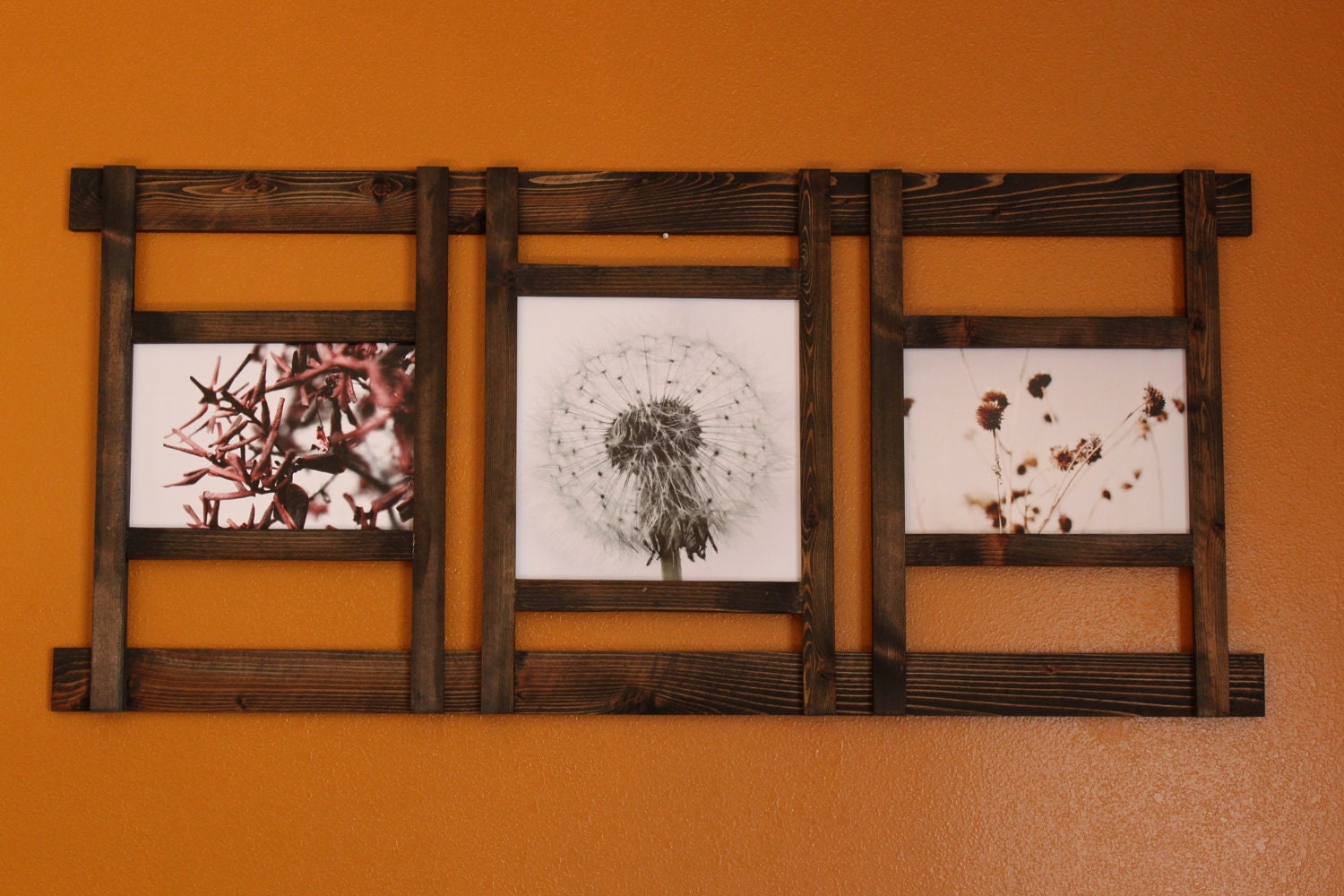 Spurs, Dandies, & Black Eyed Susies - Custom Framed Art - Fine Art Photography