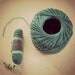Bacteria Brooch