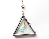 Raw Coral and Colorful Seaweed in Glass Triangle