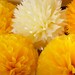 All Yellow - Set of 16 Tissue Paper Pom Pom