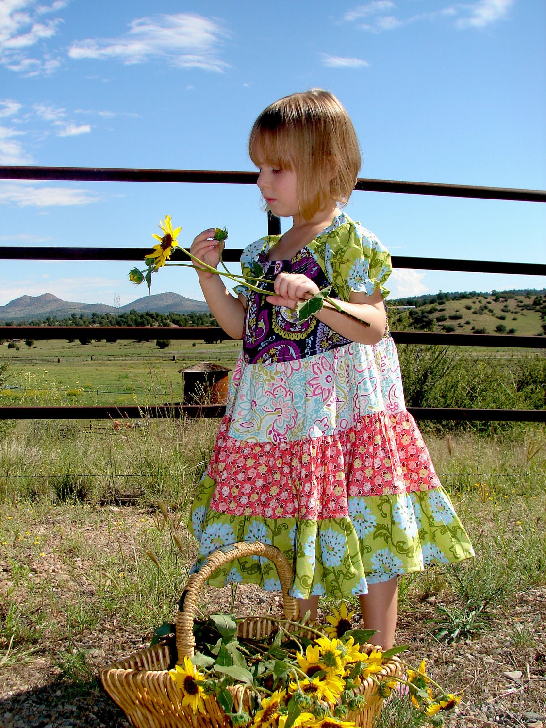 Twirl Dress - Capped Sleeves -  Purple Candy Apple Green Blues and Orange Bold Colors - Sizes 12m, 18m, 2T, 3T