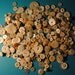 handfuls and handfuls of buttons found at an English estate sale lovely colors white ivory cream MOP Bakelite carved