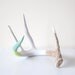 Painted Naturally Shed Deer Antler