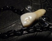 Cow Tooth Taxidermy Specimen Necklace