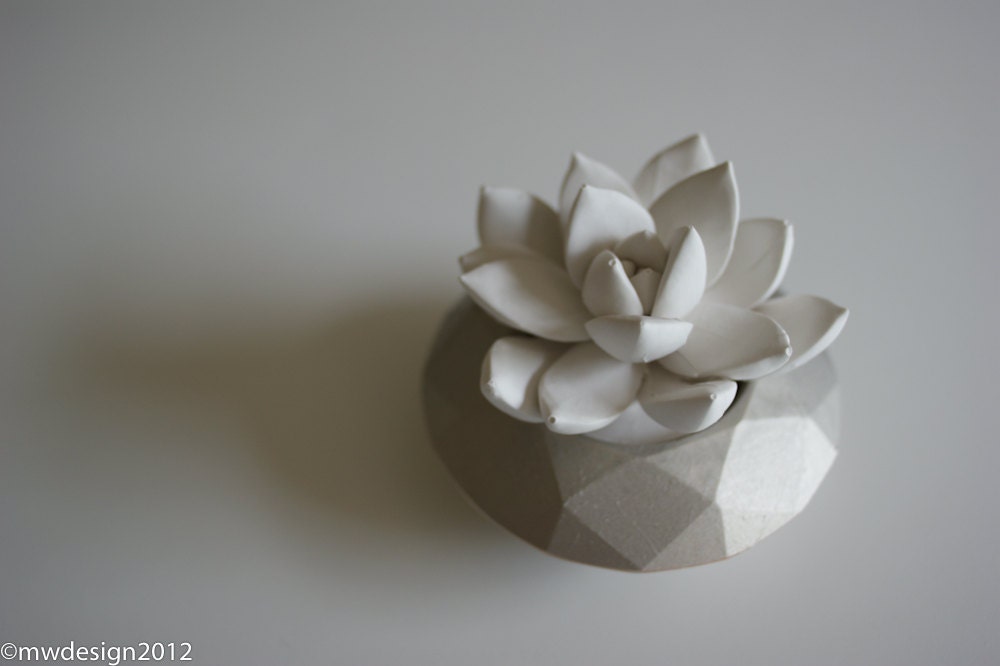 White Succulent Sculpture in Modern Faceted Geometric Container, Desktop, Tabletop Centerpiece
