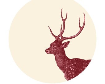 Deer  Print from Antique Illustration Cervus axis  Home Decor