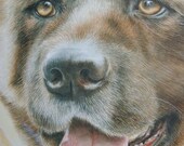 pet portrait - child portrait - horse portrait- Head portrait hand painted in watercolour ( Gift voucher) or order a portrait commission.