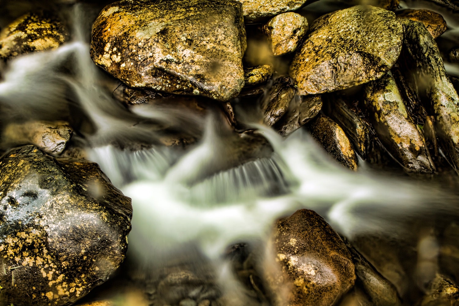 Abstract Landscape Photography Print  8x10 "Stream Bed Rocks" Smoky Mountains National Park