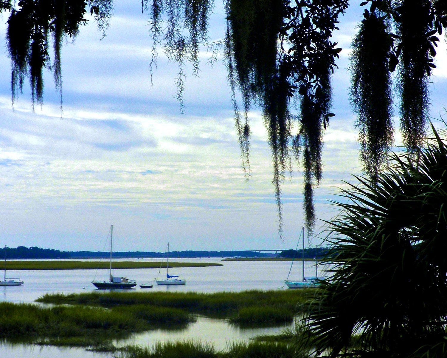 Travel Photography -Soft Blue and Green -By the Bay in Beaufort, South Carolina- Nature, Southern, Fine Art Photography