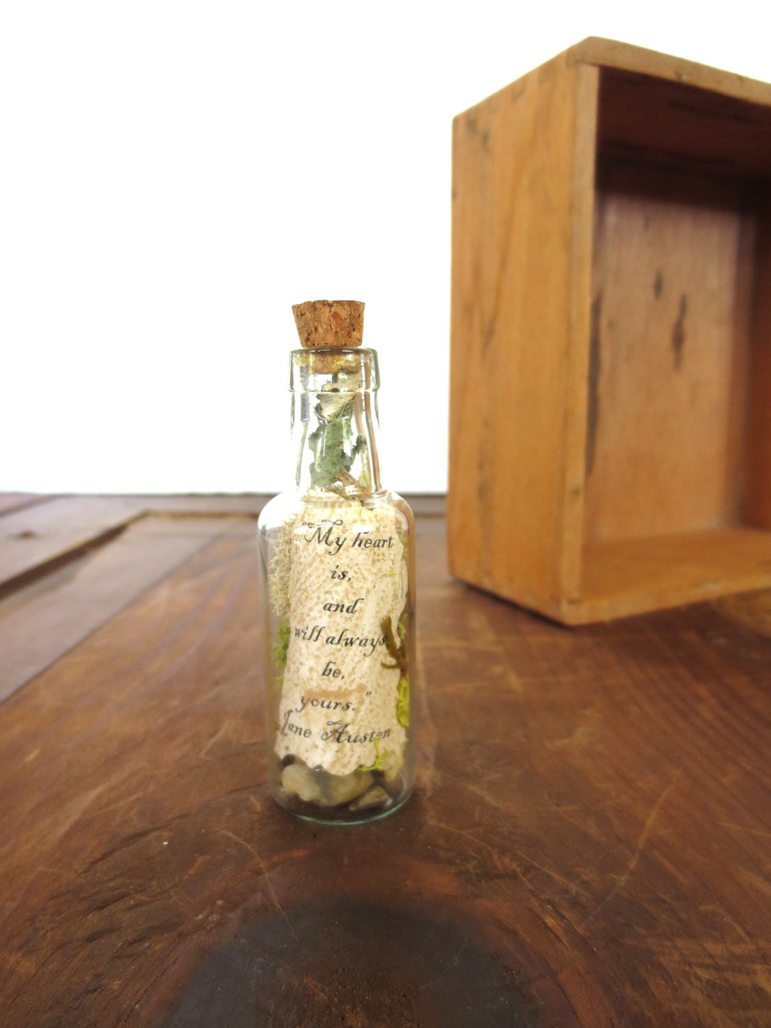 My Heart....Jane Austen Message in a Bottle Love Gift Miniature Terrarium Message Bottle Love Poem
