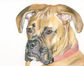 CUSTOM pet portrait original drawing - pastel pencil - 5 x 7 inches- by Vanessa Lopez