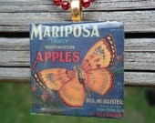 Mariposa Apples with Butterfly In Dark Blue and Orange