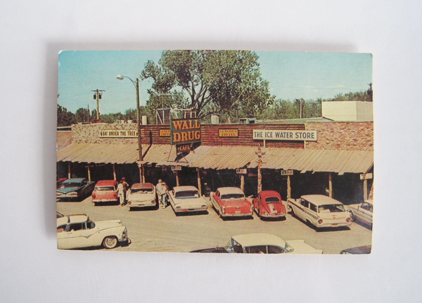 vintage 1960s Wall Drug unused postcard