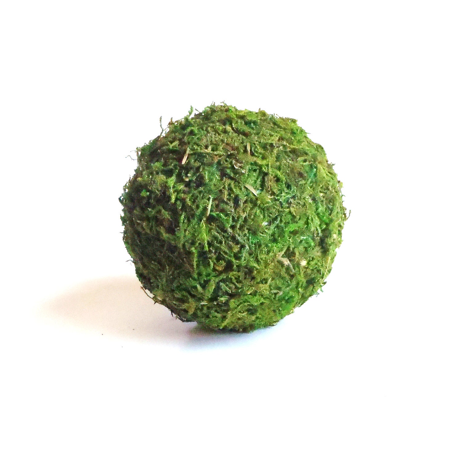 Set of Three Decorative Moss Balls - NeonLoveDesigns