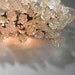 Wall light fixture. Transparent flowers and leaves.