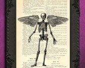 Gothic angel skeleton - angel wing art, vintage dictionary print - dictionary art print upcycled antique book page GOTHIC print