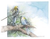 Pale-headed Rosellas, Watercolor Painting, Large Print, Australian Birds, Home Decoration, Interior Design, Gift Ideas