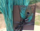 Wedding Invitations Peacock and Ostrich feather pocketfold