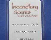 Tropical Fruit Salsa Soy Wax Tart Melt