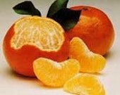 TANGERINE AND MANGO Scent, Highly Fragranced Homemade Soy Tarts/Melts