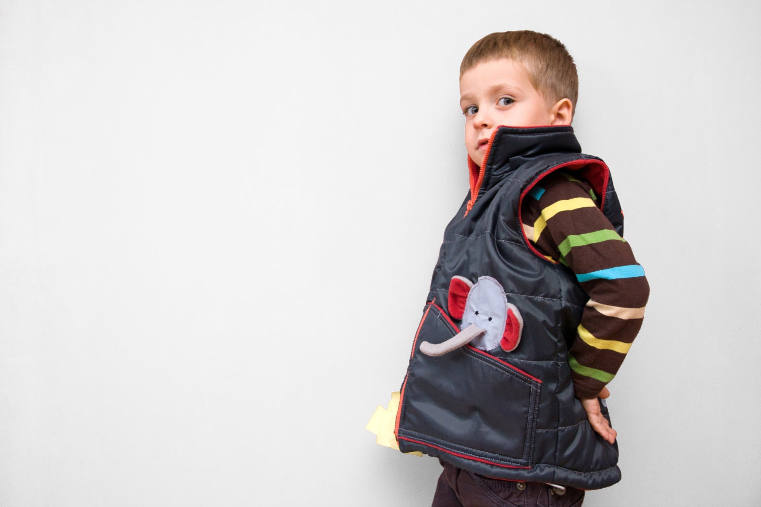 Sleeveless jacket for kids - elephant and the sun, autumn warmer vest for boys and girls, 2t, 3T, 4T, 5T, christmas gift