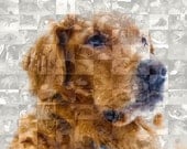 Golden Retriever Dog Custom Wall Art - Personalized Photo Collage Mosaic of Your Golden (8x10 or 10x10)