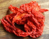 Dried Bhut Ghost Pepper Pods 5g  Vacuum Sealed Ready to add to your recipe
