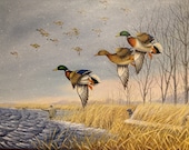 ORIGINAL  "Snowy Set up - Mallards" - Acrylic painting - Wildlife Art
