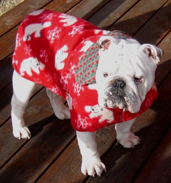 English Bulldog Warm Coat Polar Bear Fleece and by